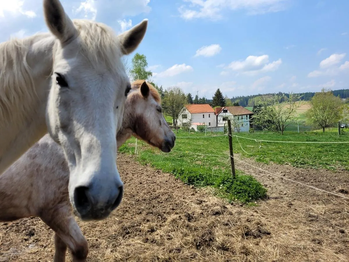 Ferienwohnung Fichtel-Jurte - Optional mit Hot Tub Hohenberg an der Eger Apartment
